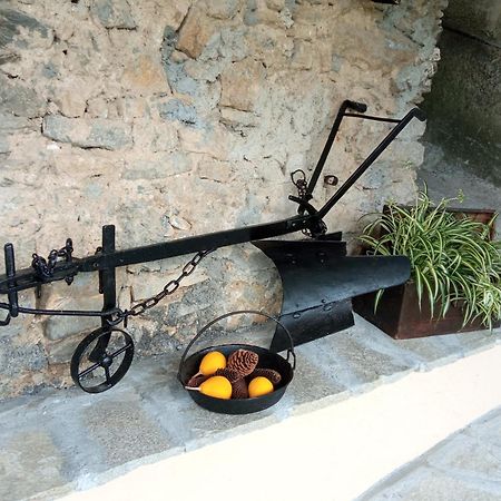 Agriturismo U'Spigu Nonna Annetta Nasino Dış mekan fotoğraf