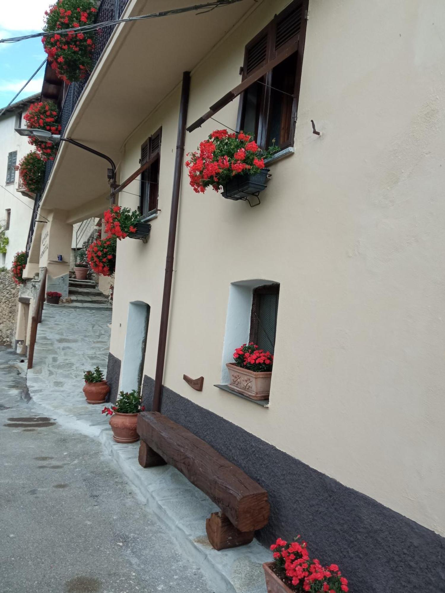 Agriturismo U'Spigu Nonna Annetta Nasino Dış mekan fotoğraf