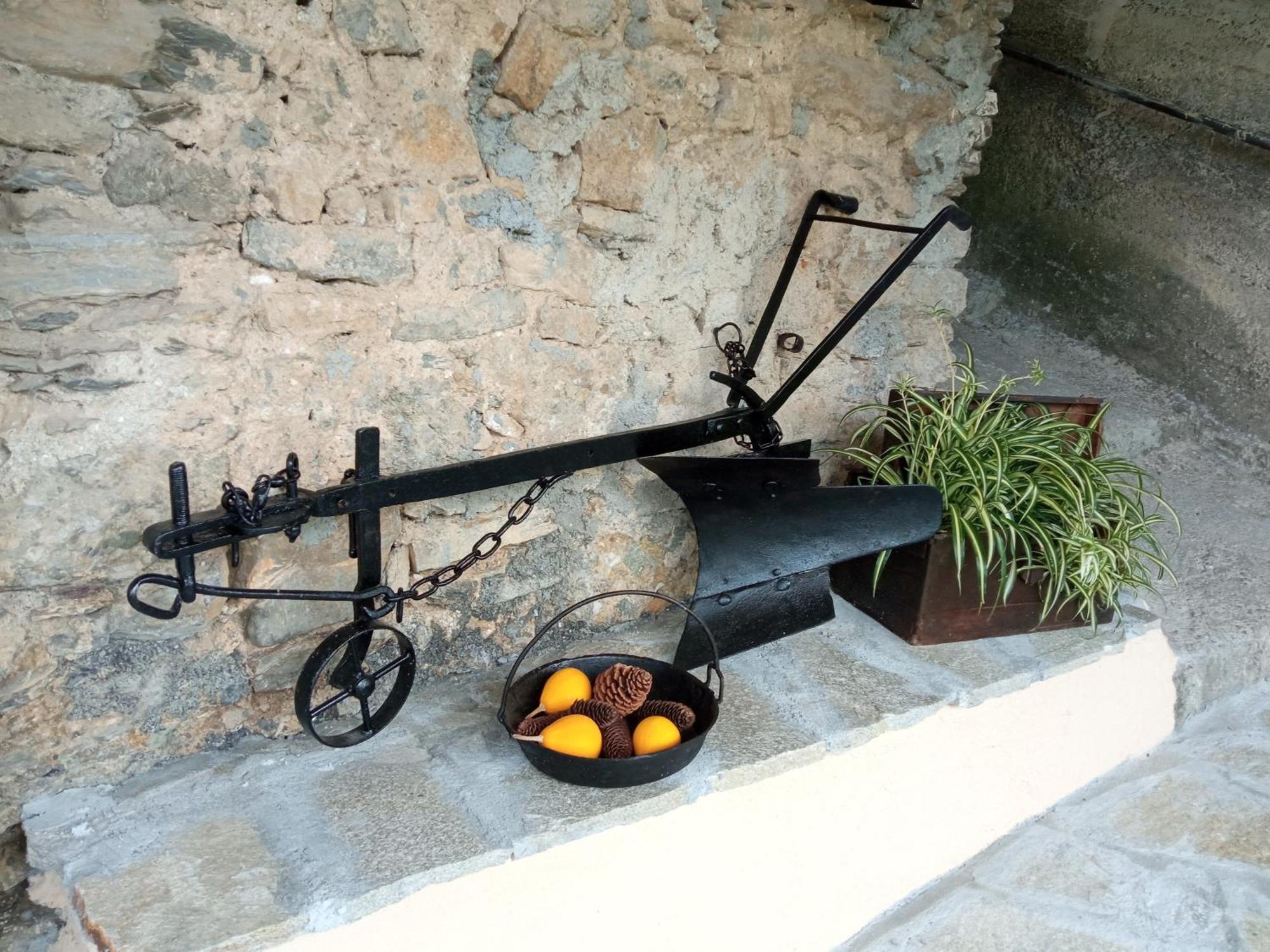 Agriturismo U'Spigu Nonna Annetta Nasino Dış mekan fotoğraf